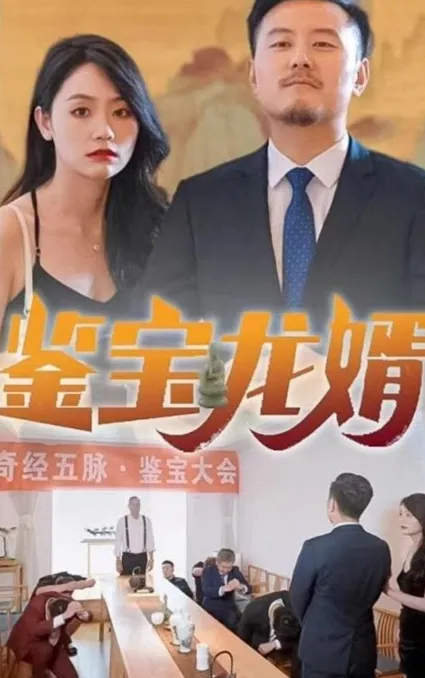 短剧《鉴宝龙婿》已完结在线播放-微短剧网Bmp4