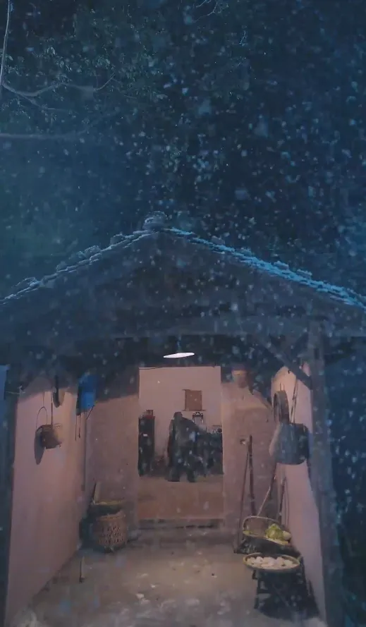 短剧《春雪落无声》已完结在线播放-微短剧网Bmp4