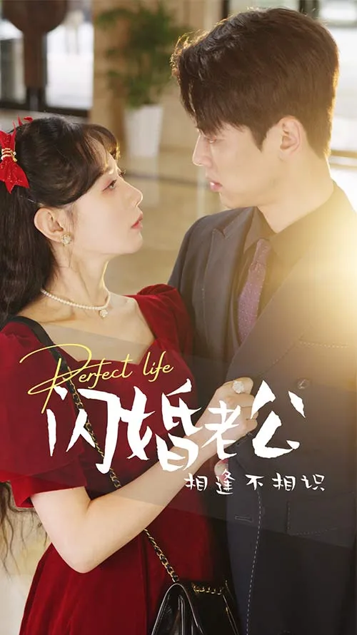 短剧《闪婚老公相逢不相识》已完结在线播放-微短剧网Bmp4