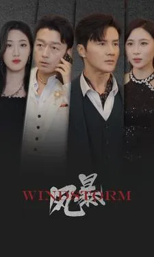 短剧《风暴 短剧版》已完结在线播放-微短剧网Bmp4