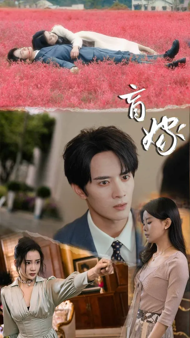 短剧《盲嫁》已完结在线播放-微短剧网Bmp4