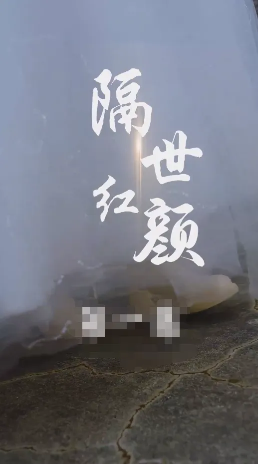 短剧《隔世红颜》已完结在线播放-微短剧网Bmp4