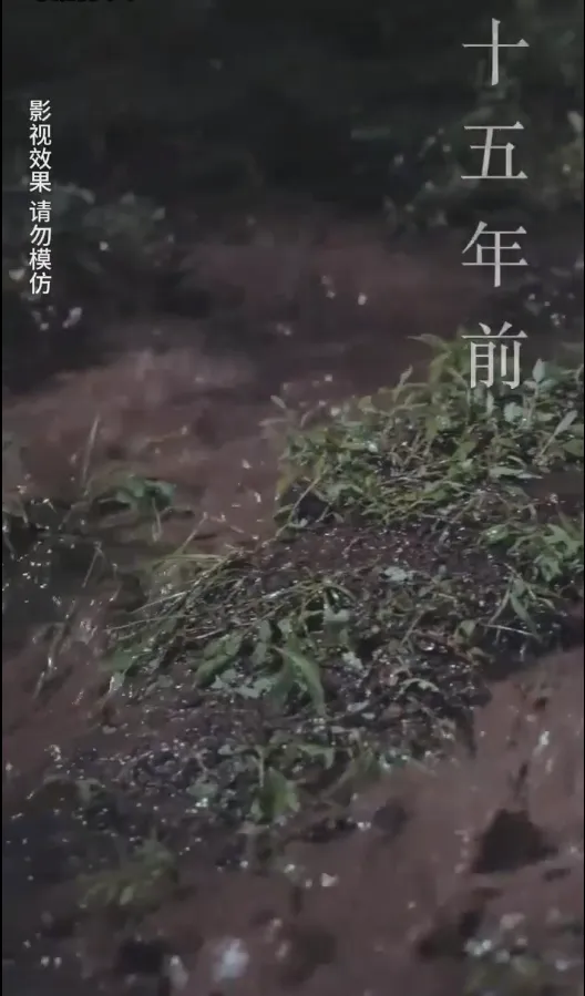 短剧《云深见朝阳》已完结在线播放-微短剧网Bmp4