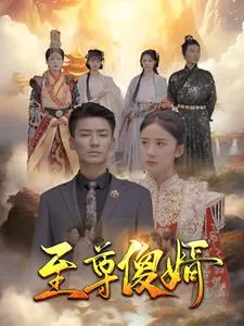 短剧《至尊傻婿》已完结在线播放-微短剧网Bmp4