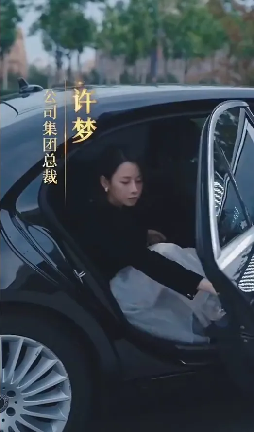 短剧《女老板的复仇》已完结在线播放-微短剧网Bmp4