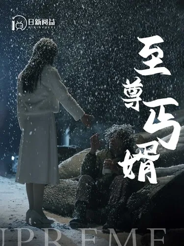 短剧《至尊丐婿》已完结在线播放-微短剧网Bmp4