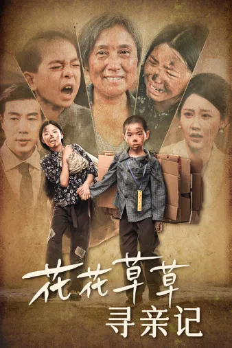 短剧《花花草草寻亲记》已完结在线播放-微短剧网Bmp4