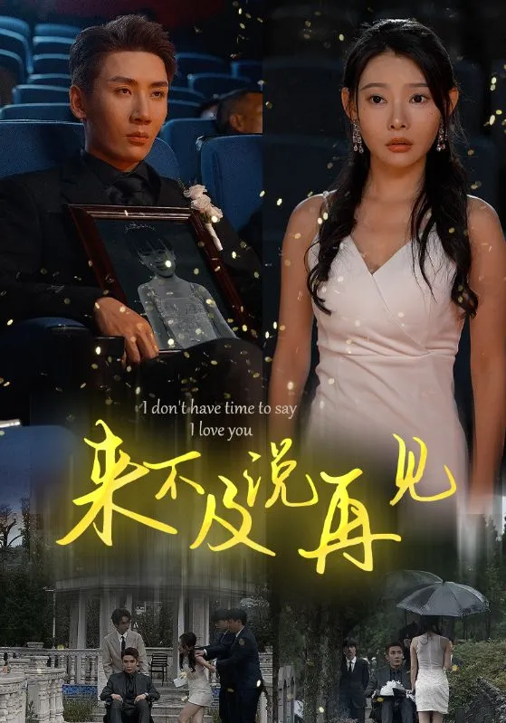 短剧《来不及说再见》已完结在线播放-微短剧网Bmp4