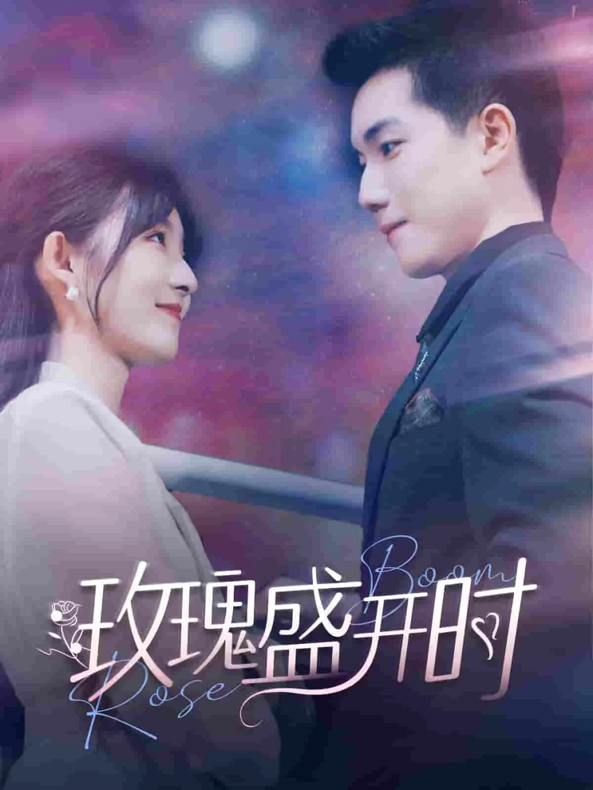 短剧《玫瑰盛开时》已完结在线播放-微短剧网Bmp4