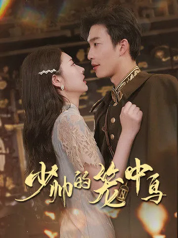 短剧《少帅的笼中鸟》已完结在线播放-微短剧网Bmp4