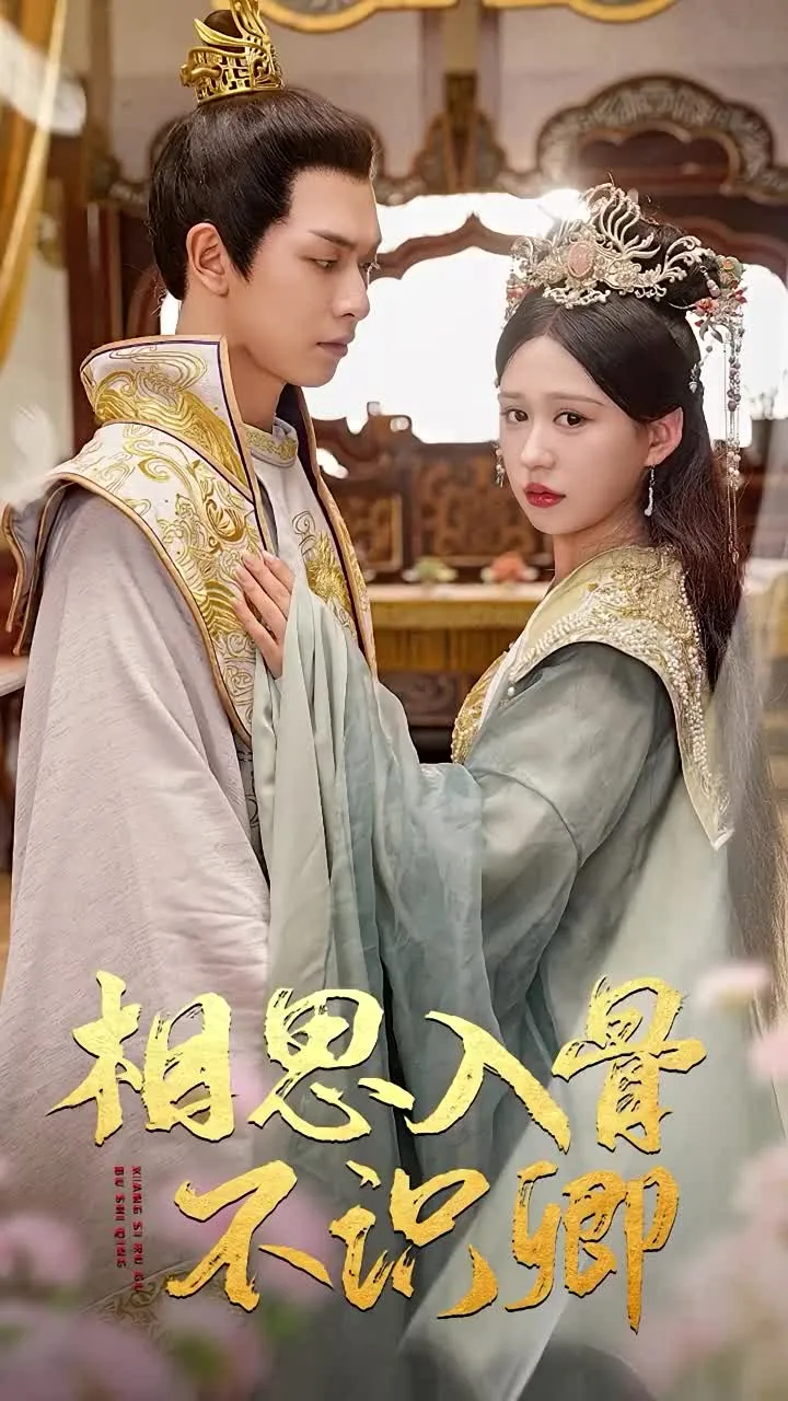 短剧《相思入骨不识卿》已完结在线播放-微短剧网Bmp4