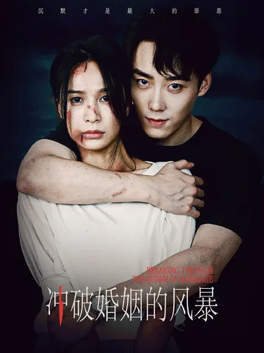 短剧《冲破婚姻的风暴》已完结在线播放-微短剧网Bmp4