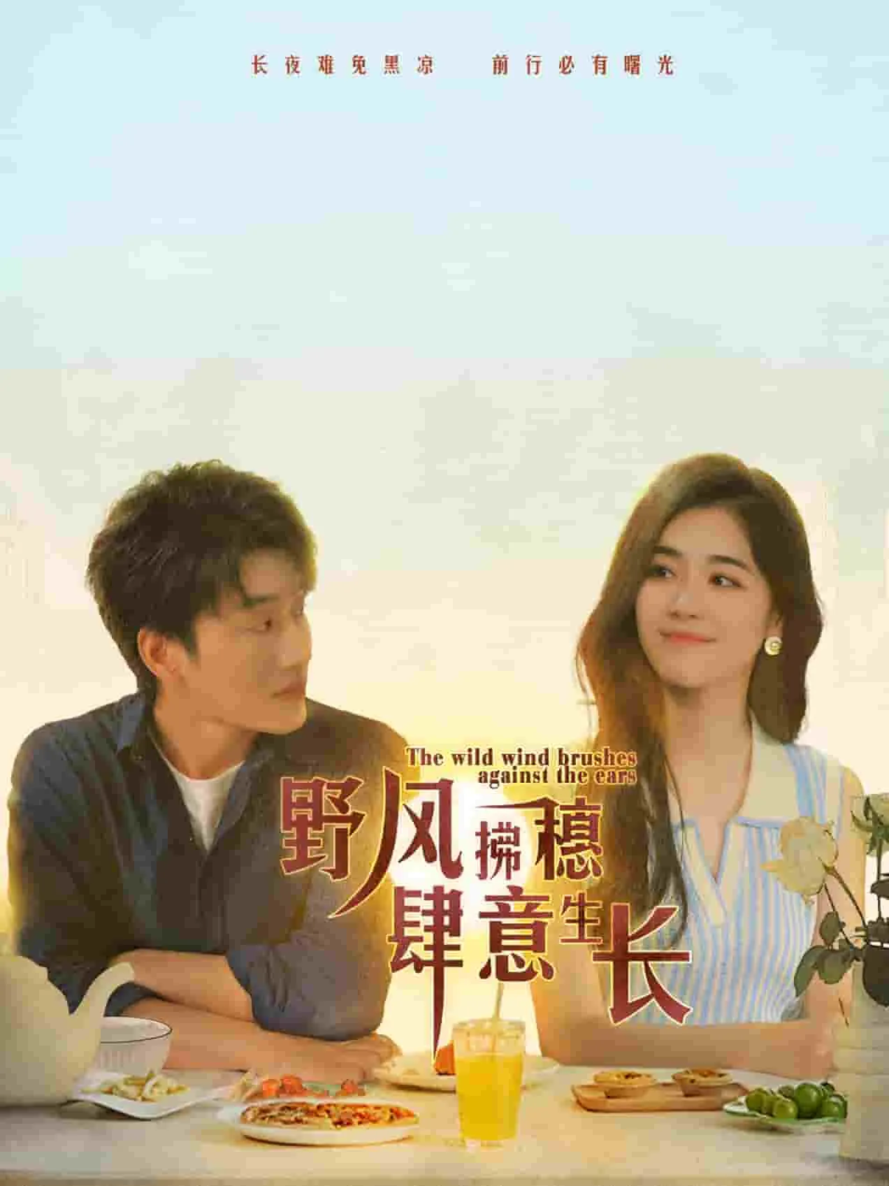 短剧《野风拂穗肆意生长》已完结在线播放-微短剧网Bmp4