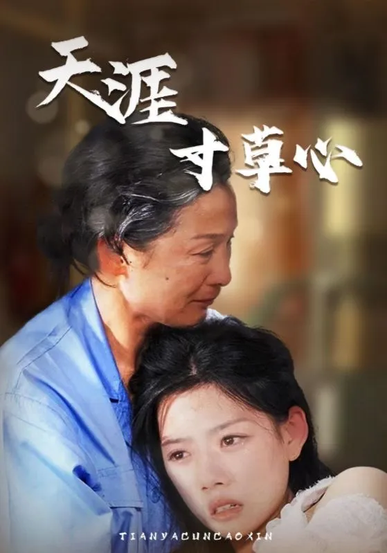短剧《天涯寸草心》已完结在线播放-微短剧网Bmp4