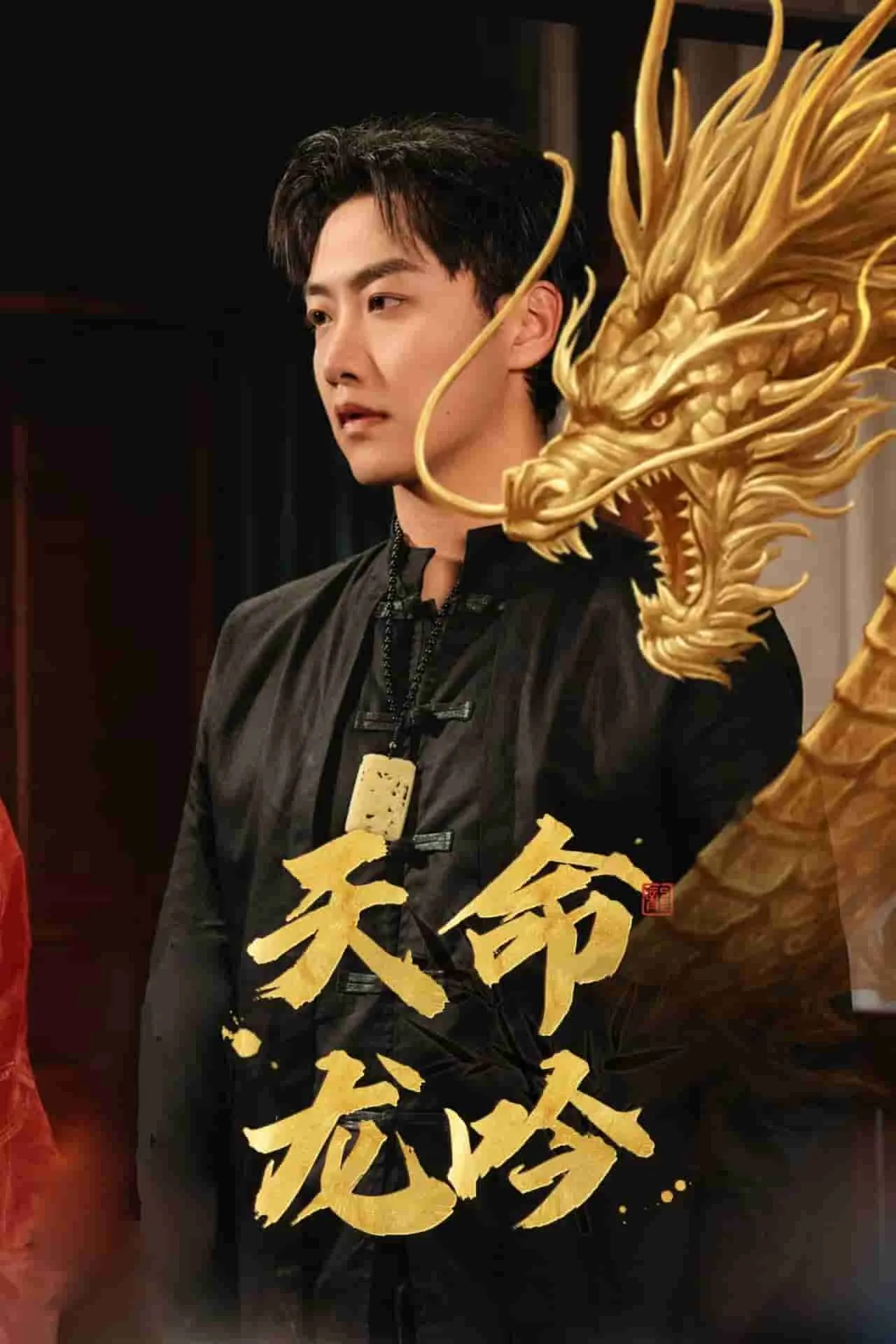 短剧《天命龙吟》已完结在线播放-微短剧网Bmp4