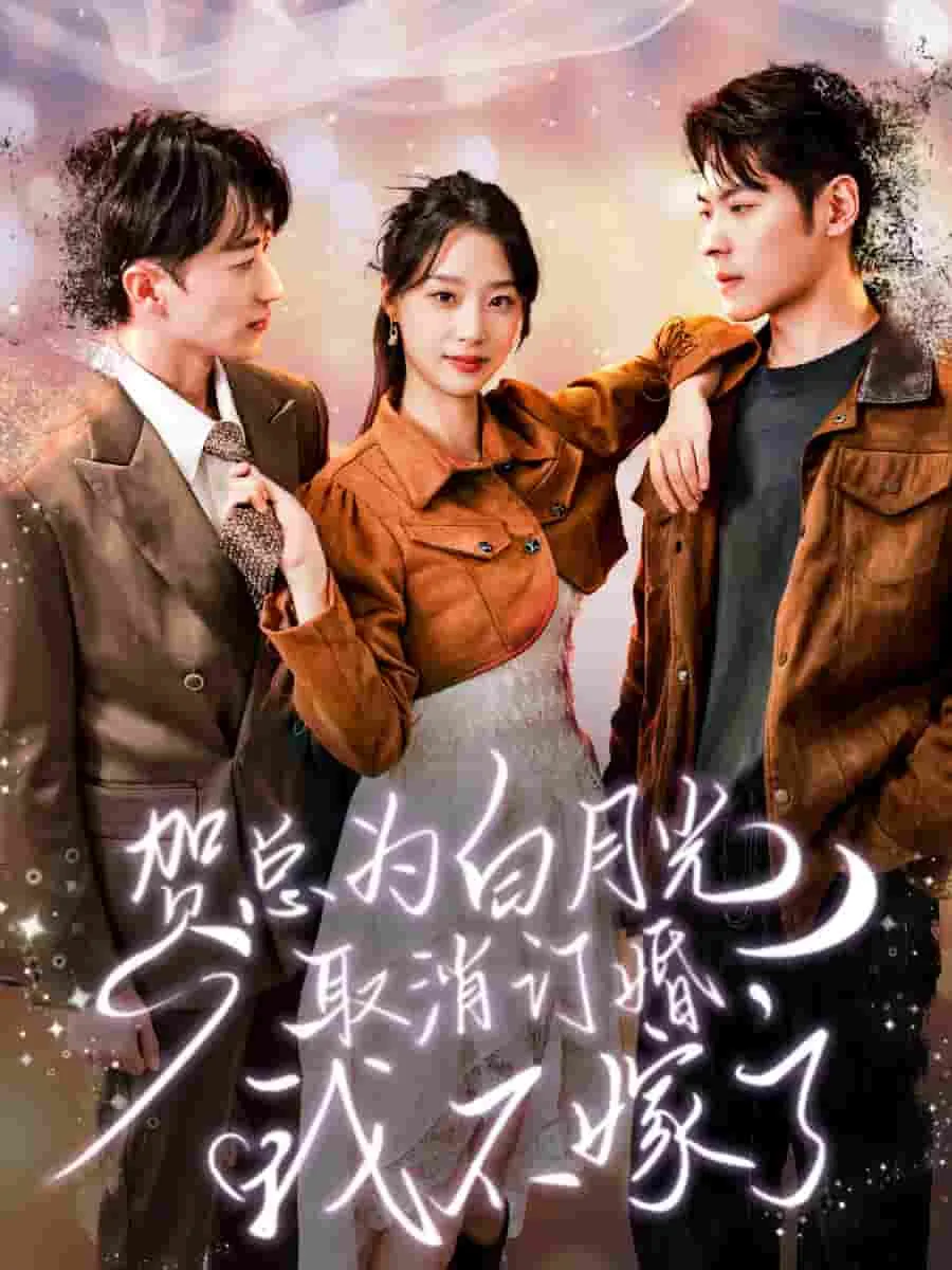 短剧《贺总为白月光取消订婚，我不嫁了》已完结在线播放-微短剧网Bmp4