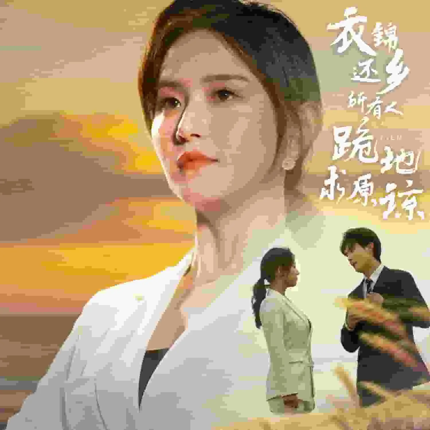 短剧《衣锦还乡，所有人跪地求原谅》已完结在线播放-微短剧网Bmp4