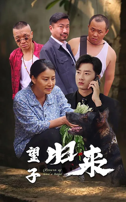 短剧《望子归来》已完结在线播放-微短剧网Bmp4