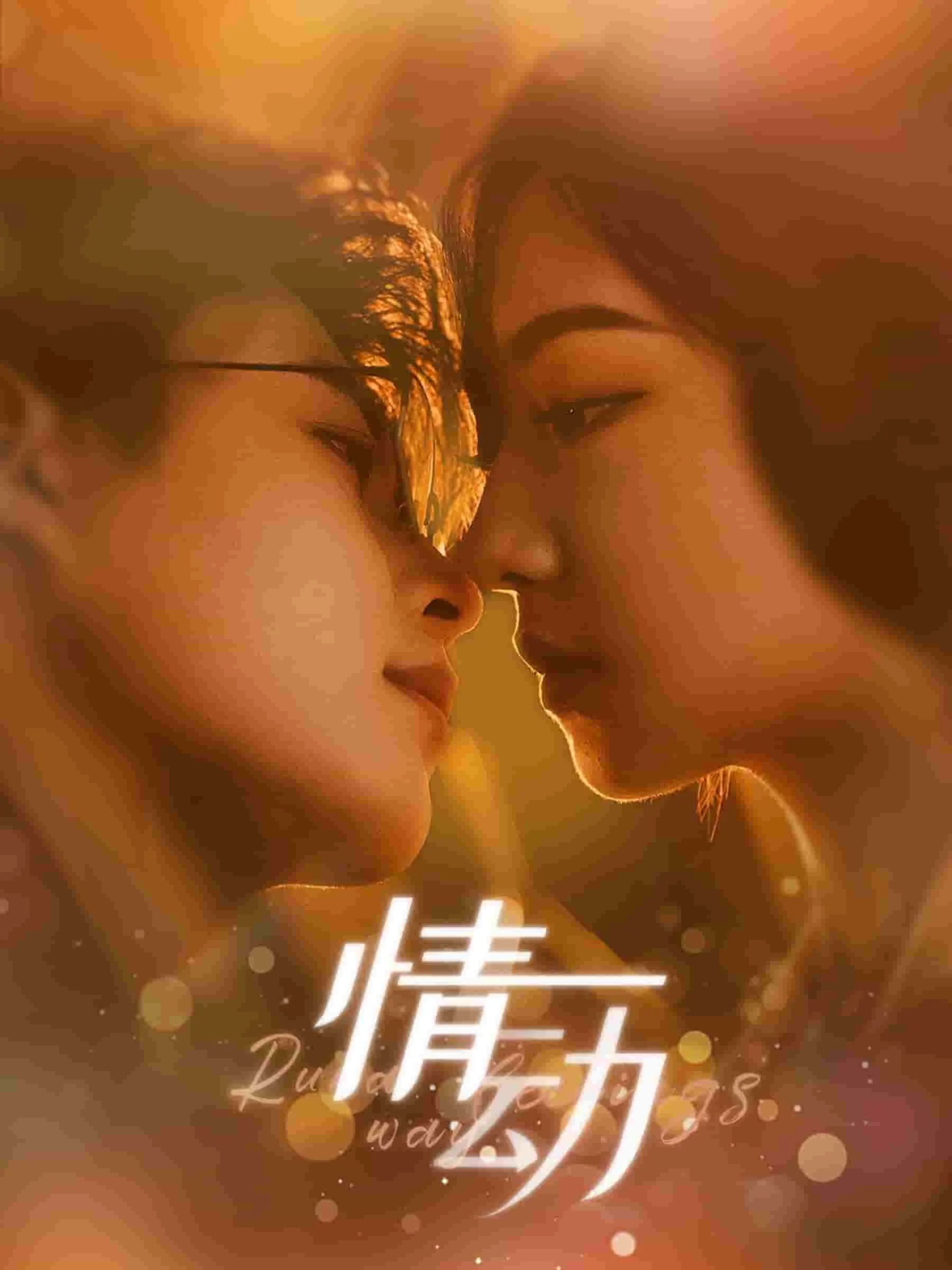 短剧《情动》已完结在线播放-微短剧网Bmp4