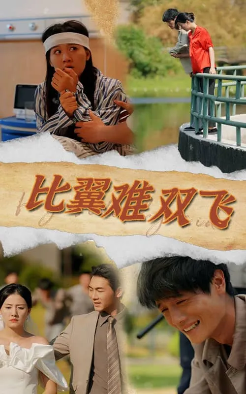 短剧《比翼难双飞》已完结在线播放-微短剧网Bmp4