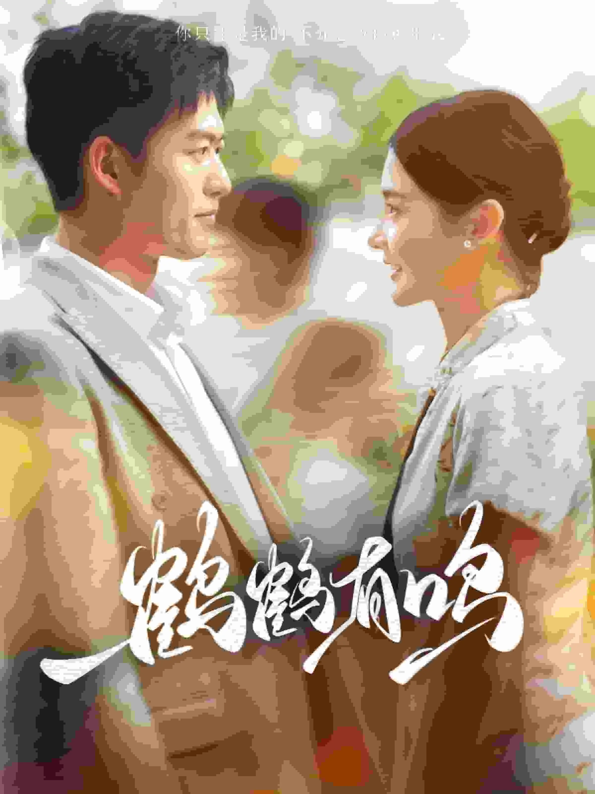 短剧《鹤鹤有鸣》已完结在线播放-微短剧网Bmp4