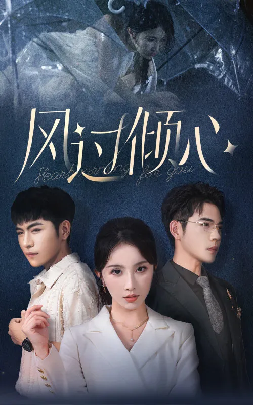 短剧《风过倾心》已完结在线播放-微短剧网Bmp4