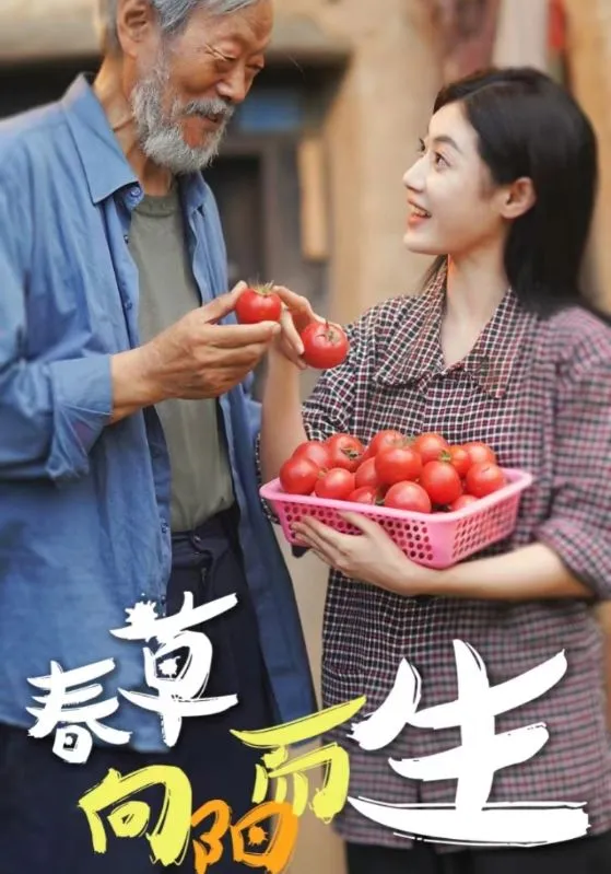 短剧《春草向阳而生》已完结在线播放-微短剧网Bmp4