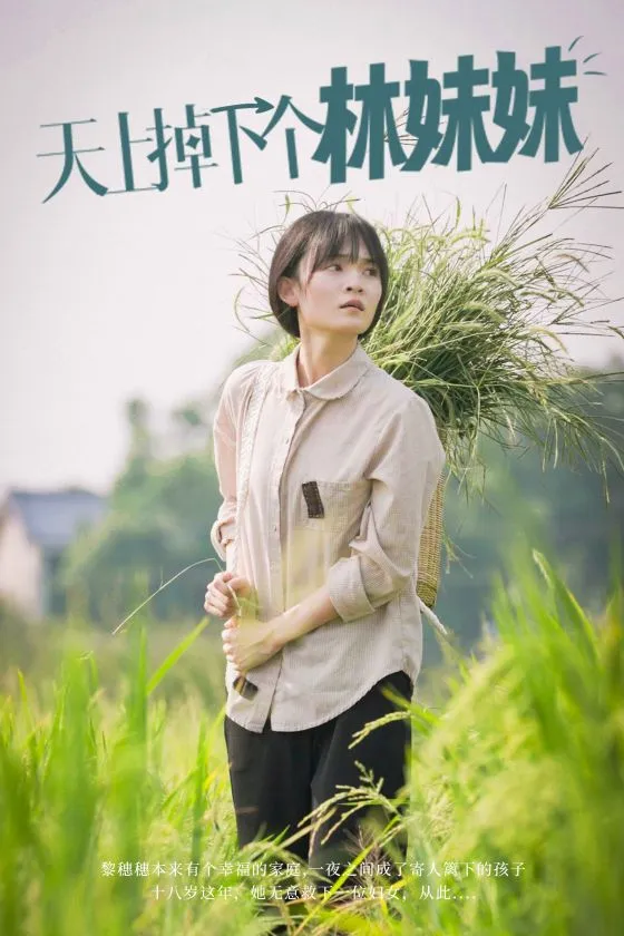 短剧《天上掉下个林妹妹》已完结在线播放-微短剧网Bmp4