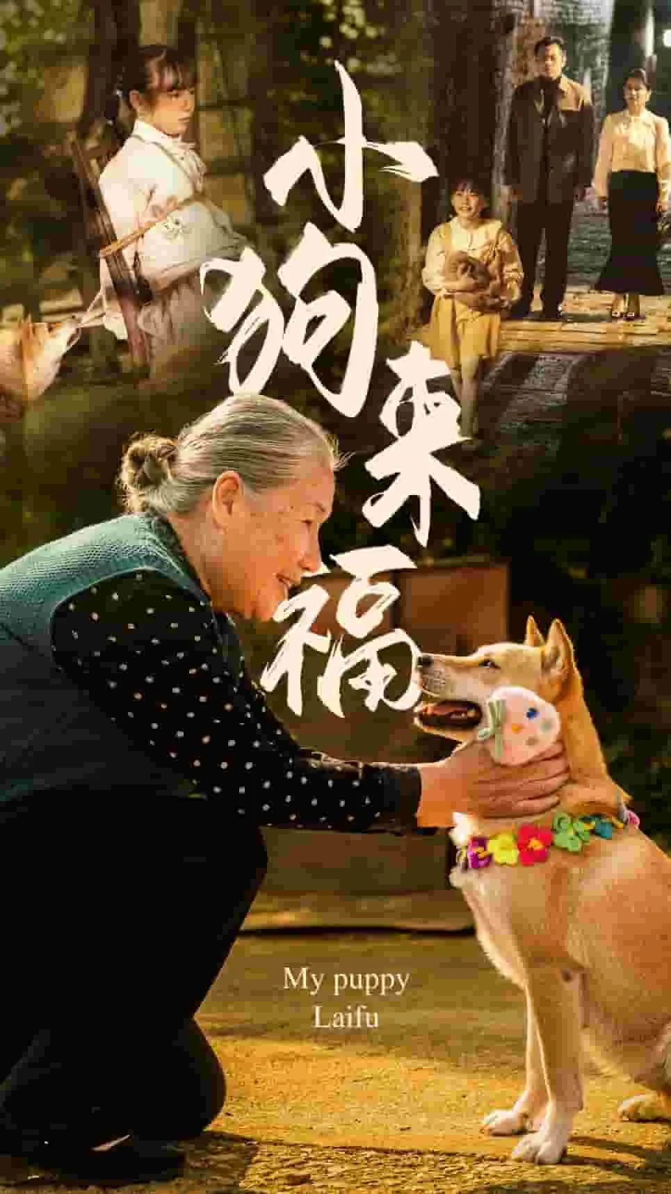 短剧《小狗来福》全集已完结在线播放-微短剧网Bmp4