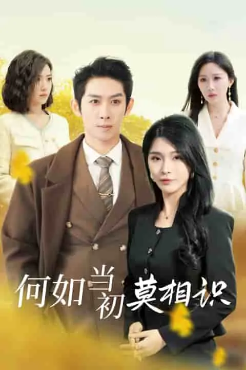 短剧《何如当初莫相识》全集已完结在线播放-微短剧网Bmp4